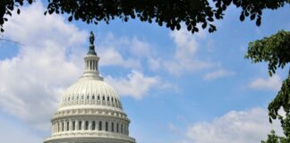 The U.S. Capitol building in Washington, D.C., seen beneath a blue sky with trees framing the dome.
