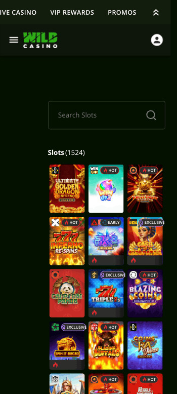 Wild Casino safe online casino slots