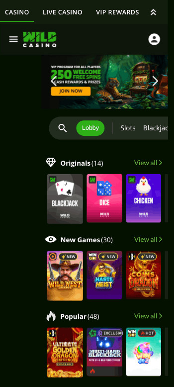 Wild Casino baccarat homepage