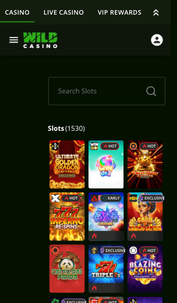 Wild casino slots games