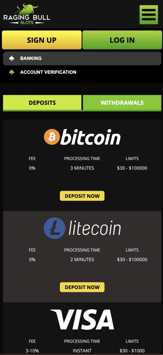 Raging Bull Crypto Payment Methods