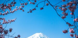 Bally’s Keen on Japanese Casino-Resort Move as Aichi Prefecture Prepares IR Bid Japan