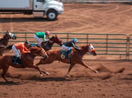 Japanese Police Officer Indicted for Unlicensed Horse Racing Betting at Online Casino Japanese horse racing