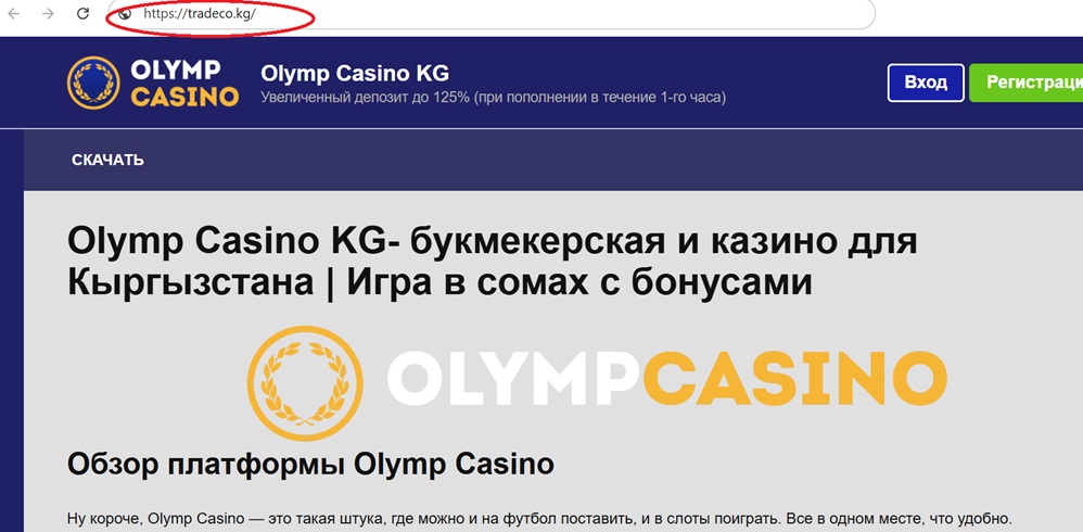 The website of the Trading Company of the Kyrgyz Republic has been taken over by online casino operators.