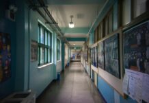 Over 2% of Elementary School Children Gambling Online, South Korean Survey Says South Korea