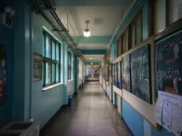 Over 2% of Elementary School Children Gambling Online, South Korean Survey Says South Korea