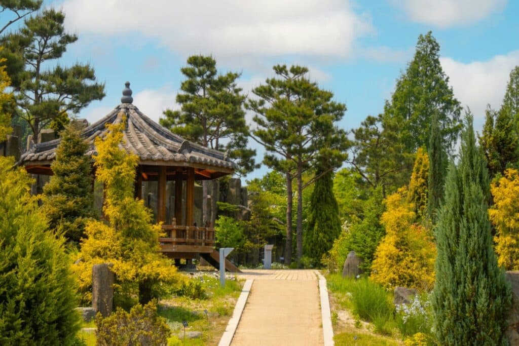 An image of a public park in Seoul, South Korea.