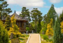 Seoul Public Parks Becoming Open-air Gambling Dens – Report Seoul Public Parks Becoming Open-air Gambling Dens – Report