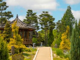 Seoul Public Parks Becoming Open-air Gambling Dens – Report An image of a public park in Seoul, South Korea.