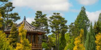 Seoul Public Parks Becoming Open-air Gambling Dens – Report An image of a public park in Seoul, South Korea.