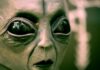 Do Aliens Exist? Prediction Market Users Wager ‘Yes’ Alien