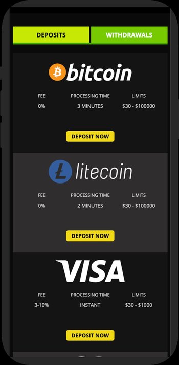 Raging Bull Casino Payment Methods