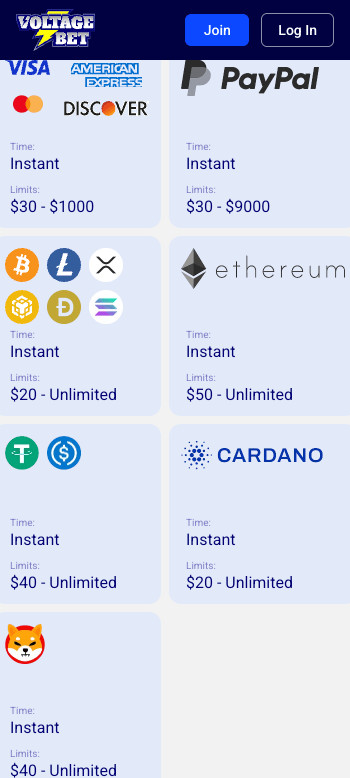 Voltagebet banking options