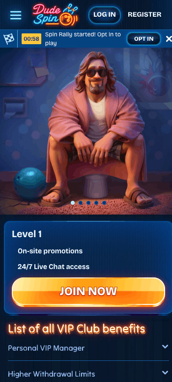 Dudespin VIP program