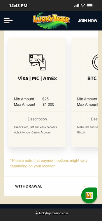 Lucky Tiger Casino Banking Section