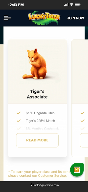 Lucky Tiger Casino Loyalty Program