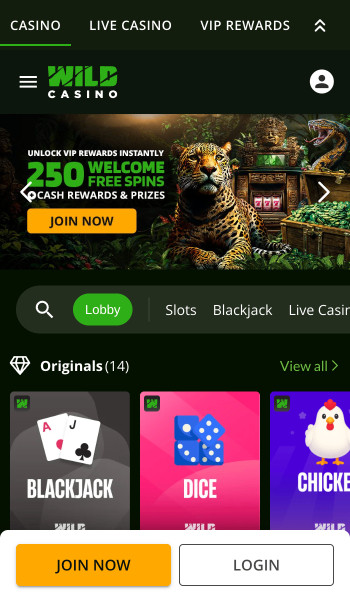 Wild Casino homepage