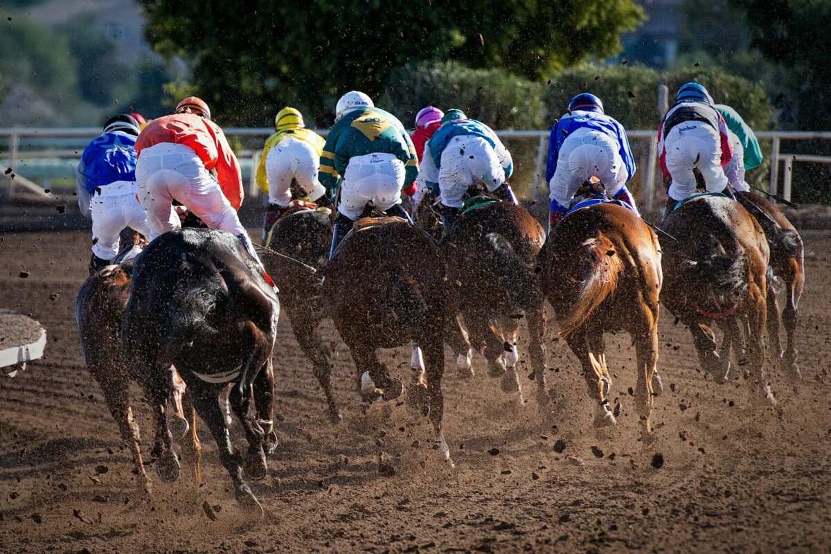 South Korean Horse Racing